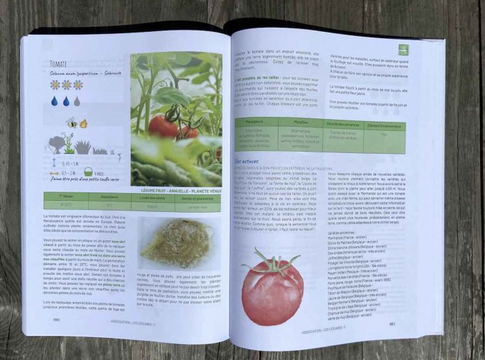 livre permaculture fiche légumes