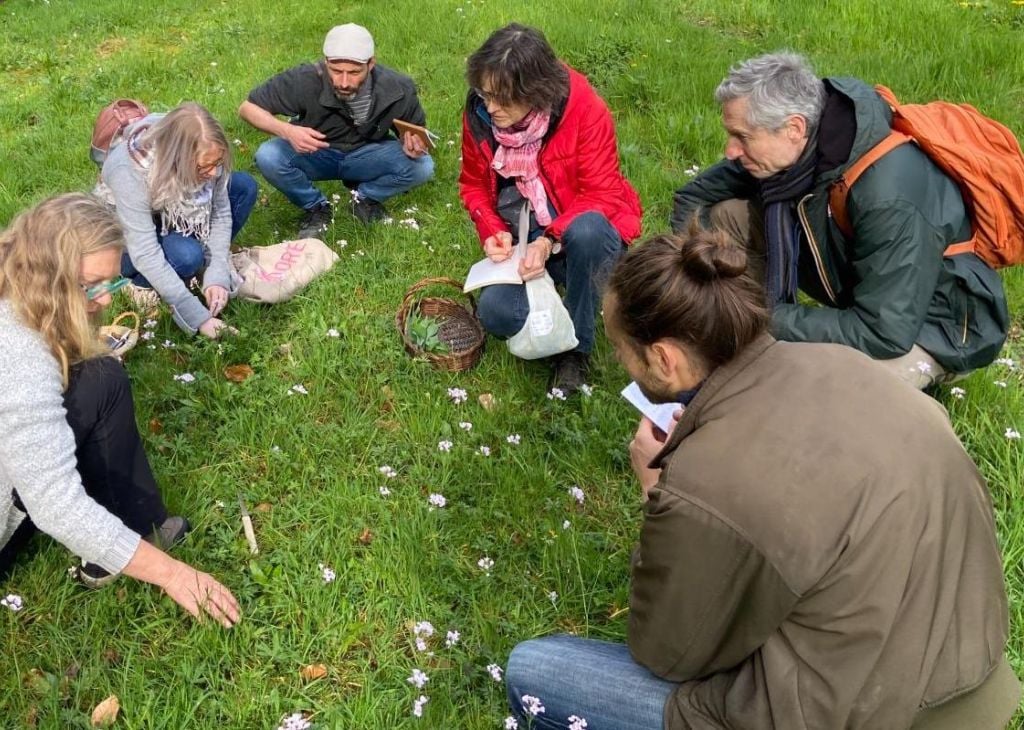 Personne assise regardant des plantes sauvages lors d'une formation