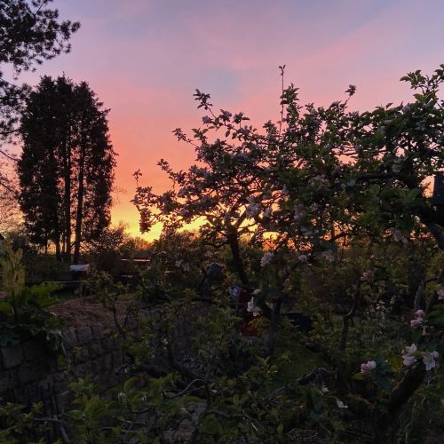 Coucher de soleil