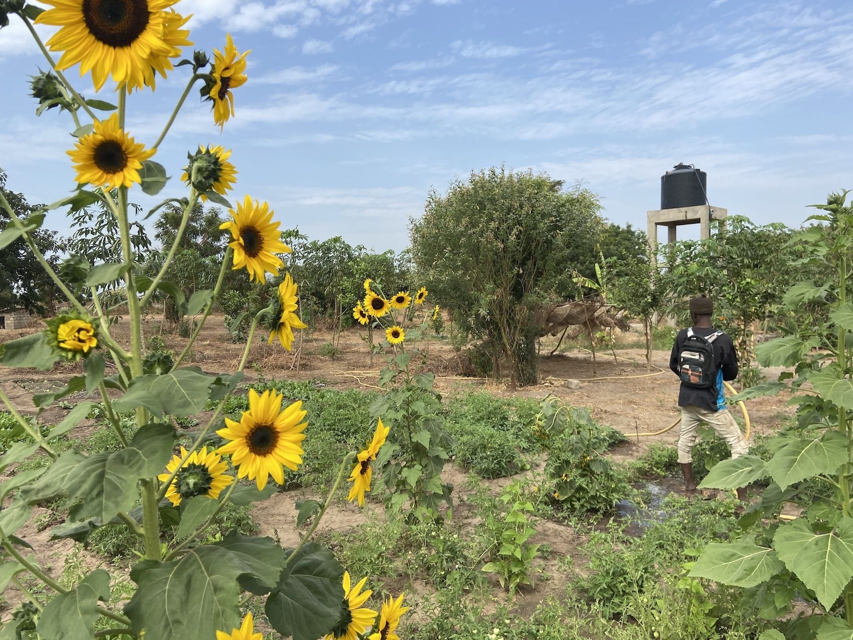 Ferme pédagogique de Ndoumboudj