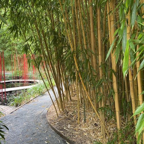 Festival Internationale des jardins de Chaumont sur Loire
