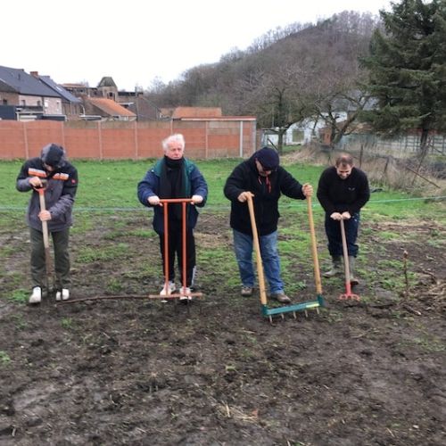 Potager dans la Borinage