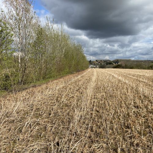 agroforesterie