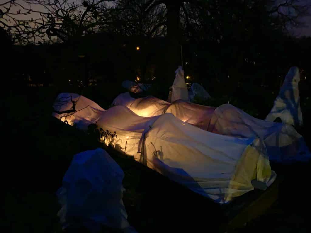 tunnel d'hivernage chauffés par des pots en terre cuite et de l'huile végétale, vue de nuit avec lumière