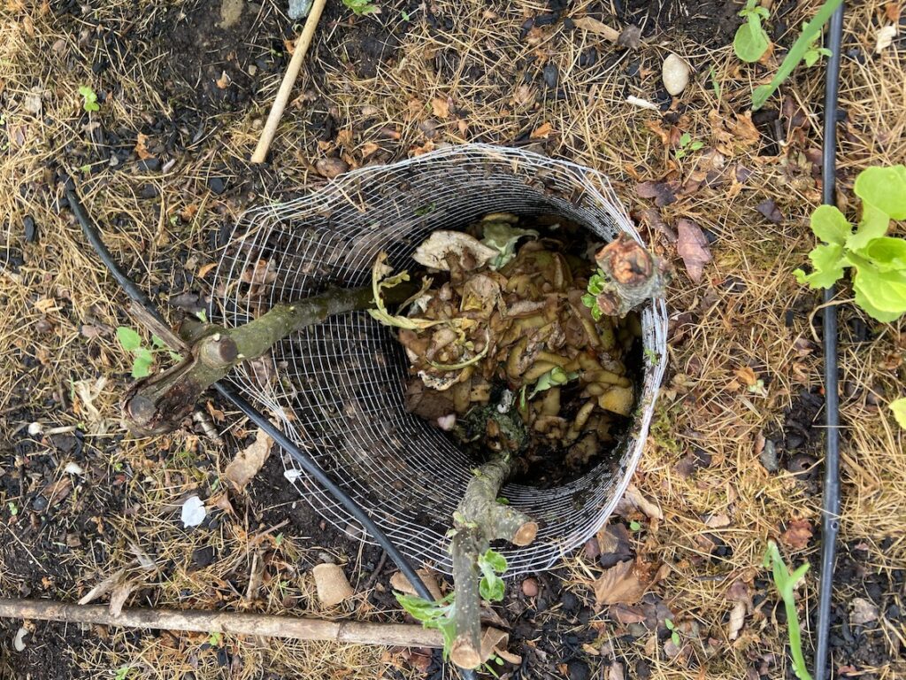 mini-compost