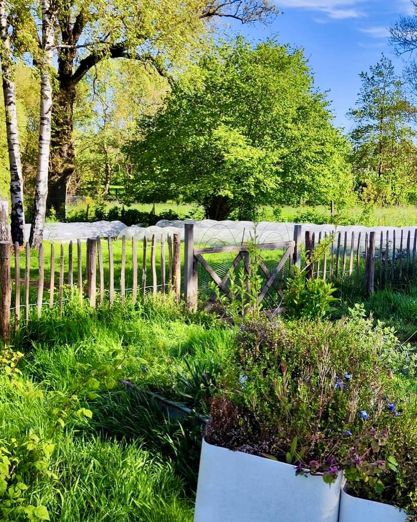 Petit maraîchage familial