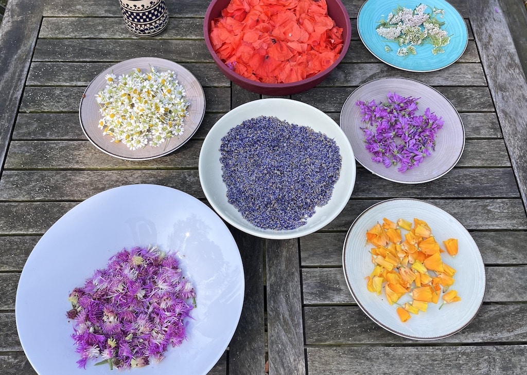 couleurs au naturel avec des pétales de fleurs namur
