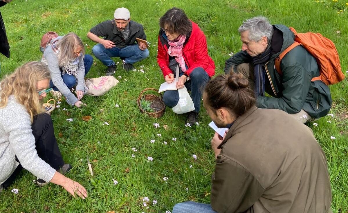 Personne assise regardant des plantes sauvages lors d'une formation