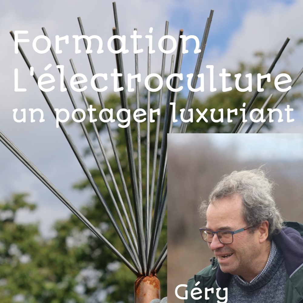 Formation electroculture