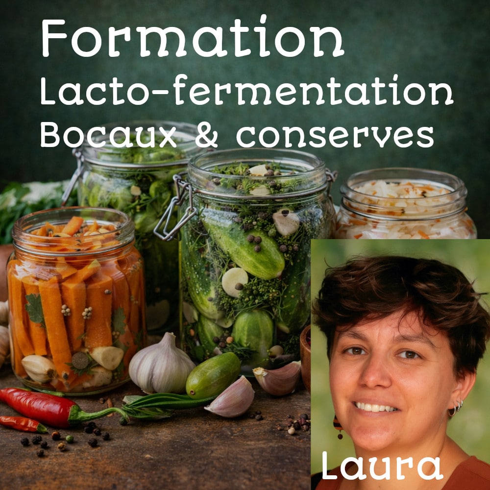 Formation bocaux et conserves – Image 2