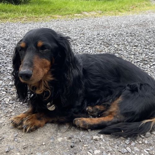 Gun m&eacute;ditant sur notre avenir