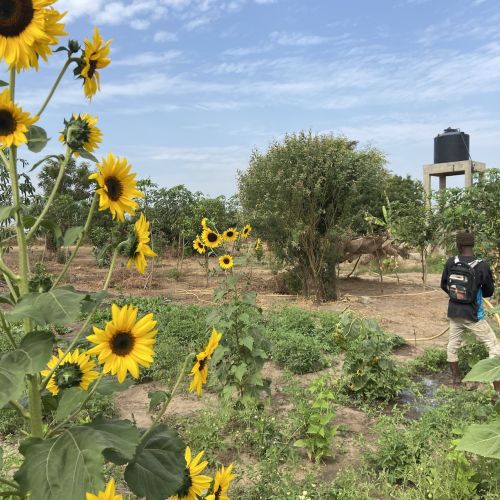Ferme p&eacute;dagogique de Ndoumboudj