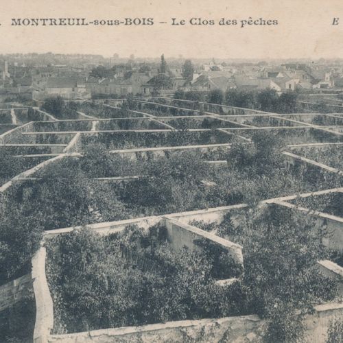 Les mara&icirc;chers de Paris