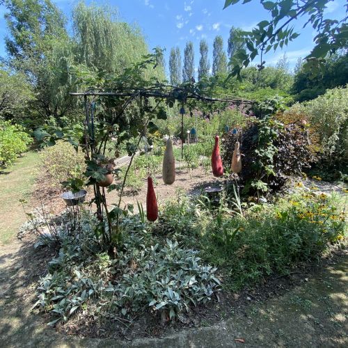 La musique des courges