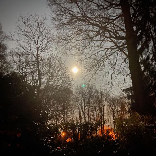 7 avril 2020 : une lune rose